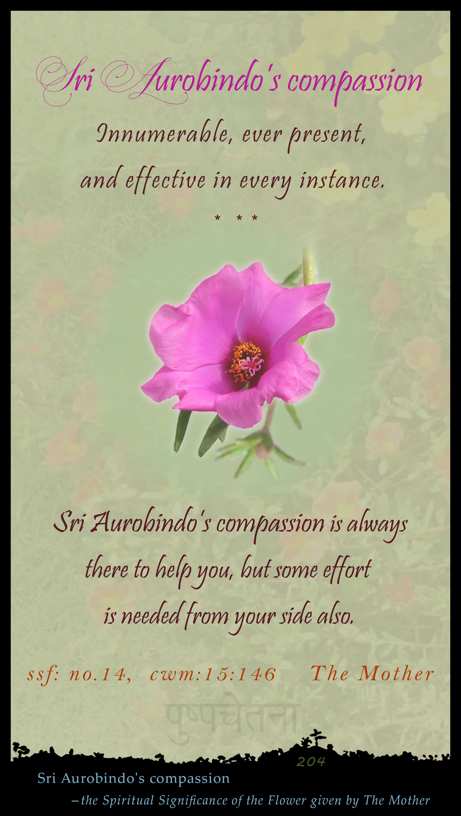 Sri Aurobindo's Compassion